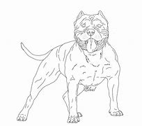 Image result for XL Bully Dog
