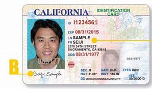 Image result for California ID Card Sample