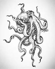 Image result for Octopus Tattoo Sketch