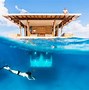 Image result for Cool Underwater Places