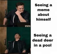 Image result for Dead Deer in Pool Meme