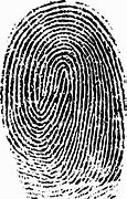 Image result for Fingerprint Deadbolt