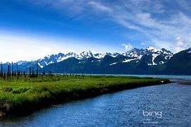 Image result for Bing Desktop Wallpaper Gallery