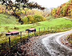 Image result for Autumn Country Road