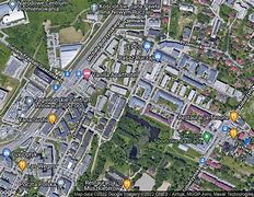Image result for chmieleniec