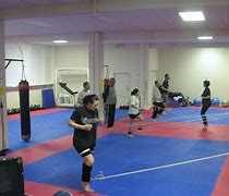 Image result for fighting arts classes