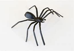 Image result for Toy Spider Images