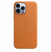 Image result for iPhone 13 Pro Max Gold Case
