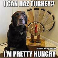 Image result for Dog Thanksgiving 2019 Memes