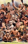Image result for All MMA Fighters