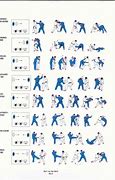 Image result for Jiu Jitsu Point System