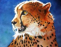 Image result for Cheetah Paint