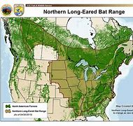 Image result for Northern Long-Eared Bat Range