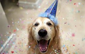Image result for Big Dog Birthday