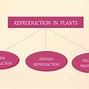 Image result for Plant Fragmentation