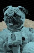 Image result for Space Pug