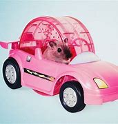 Image result for Hamster Wheel Car