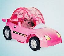 Image result for Hamster Powered Car