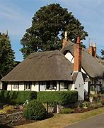 Image result for Welford On Avon Cattery
