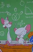 Image result for Acme Labs Pinky and the Brain