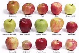 Image result for Pic of a Small Apple