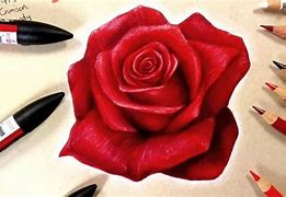 Image result for Pencil Drawing Roses for Beginners