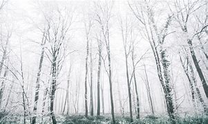 Image result for White PC Backgrounds