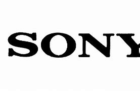 Image result for Sony Entertainment Network MSM India Logo