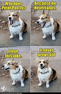 Image result for Hilarious Memes 2018
