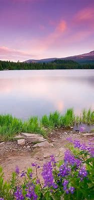 Image result for Nature iPhone Wallpapers HD