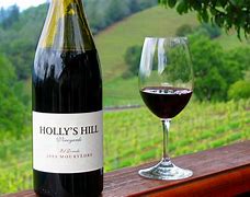 Image result for Holly's Hill Apple