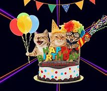 Image result for Happy Birthday Cool Cat Meme