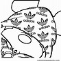 Image result for Adidas Footprint
