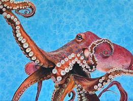 Image result for Octopus Painting