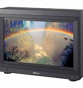 Image result for Sony BVM Monitor