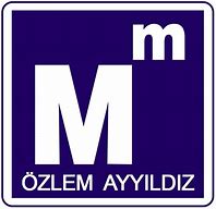 Image result for Ozlem Ayyildiz