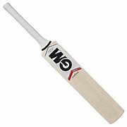 Image result for GM Cricket Bats Blue