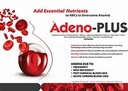 Image result for adenol0g�a