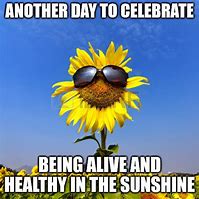 Image result for Happy Sunshine Day Meme
