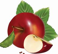 Image result for Apple Leaf Template