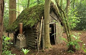 Image result for +Primative One Man Cabin