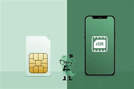 Image result for Electronic Sim Card