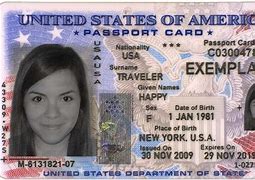 Image result for American ID Card Sample