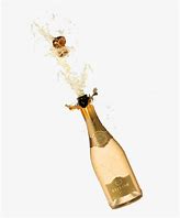 Image result for Champagne Bottle Opening