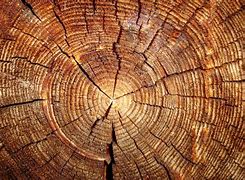 Image result for Wood Wallpaper 1366X768 Full HD