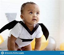 Image result for Baby Black Bat
