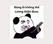 Image result for Meme Sung