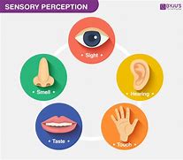 Image result for Five Senses and Perception