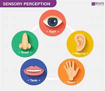Image result for 5 Senses Examples