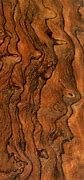 Image result for Most Exotic Wood